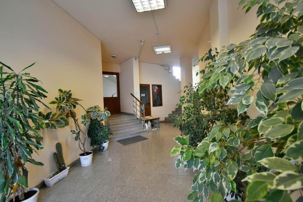 Appartement 23 1 Bedroom With Balcony *