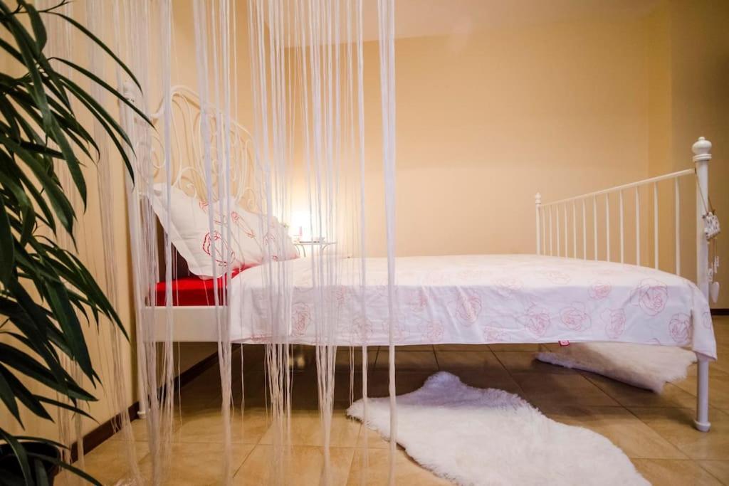 23 1 Bedroom With Balcony Appartement Sofia