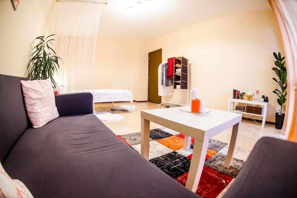Appartement 23 1 Bedroom With Balcony *